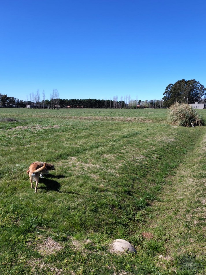 VENTA DE LOTES EN ESTANCIA LA MACARENA 