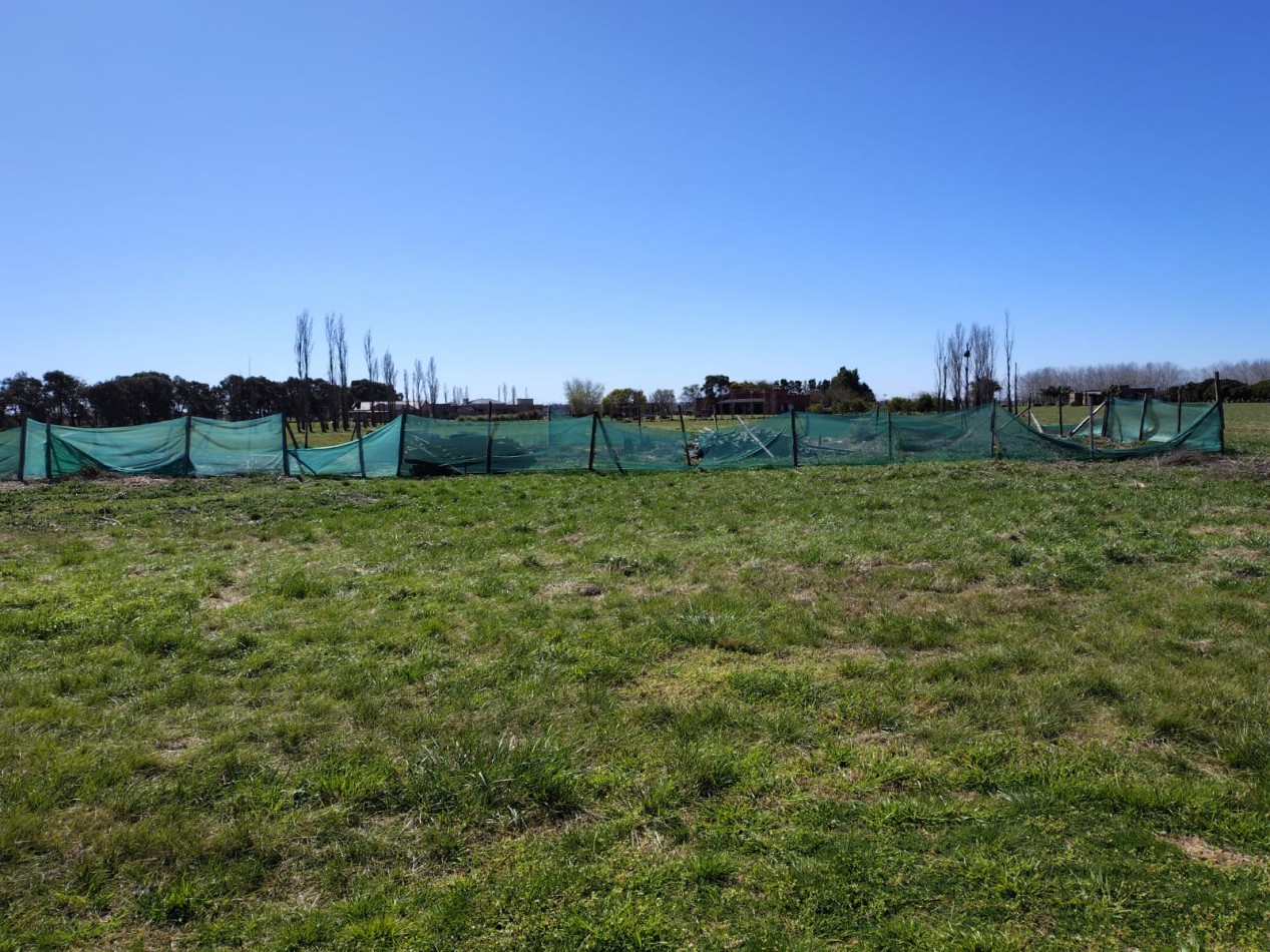 VENTA DE LOTES EN ESTANCIA LA MACARENA 