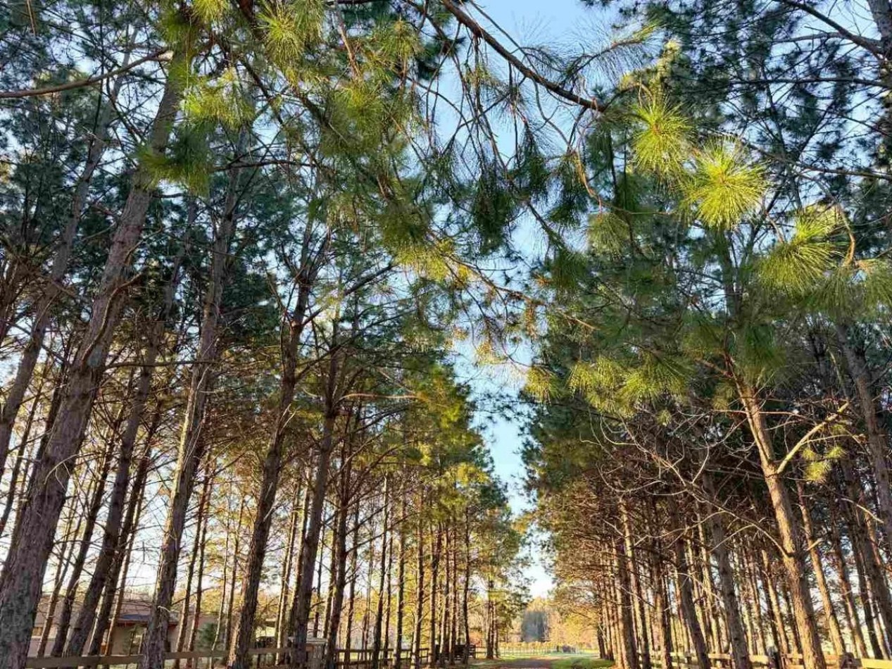 VENTA DE LOTES EN ESTANCIA LA MACARENA 